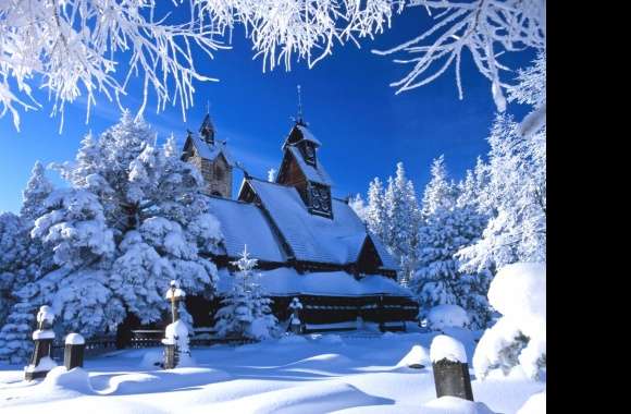 Winter Wonderland for Serene Snowy Scenes