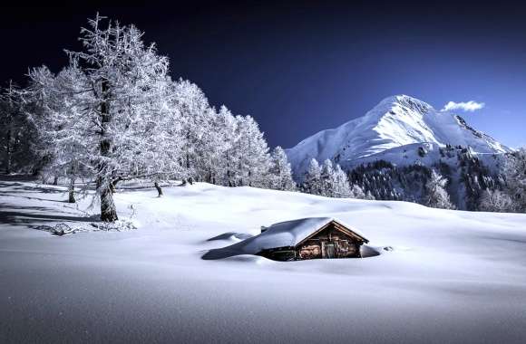 Winter Wonderland HD Mountain Landscape Wallpaper