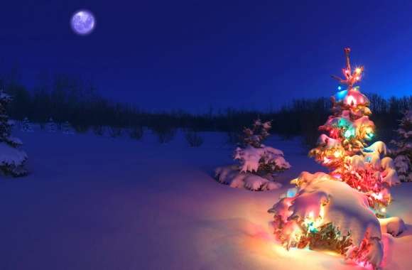 Winter Wonderland of a Festive Christmas Landscape wallpapers hd quality