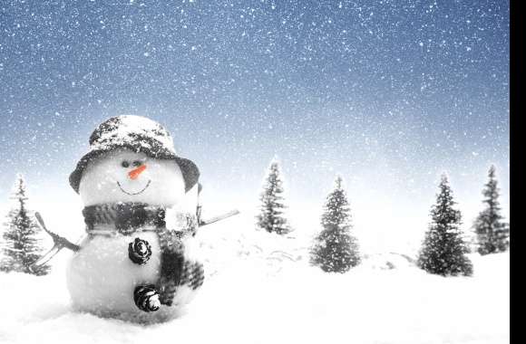 Winter Wonderland Snowman wallpapers hd quality