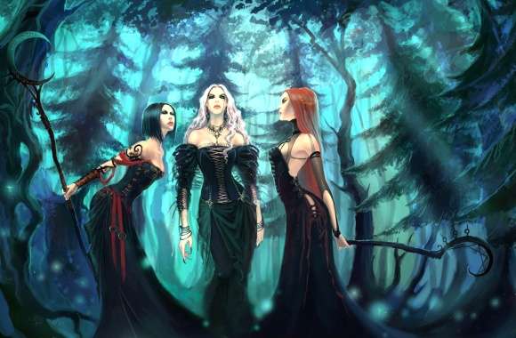 Witching Hour Enchanted Forest wallpapers hd quality