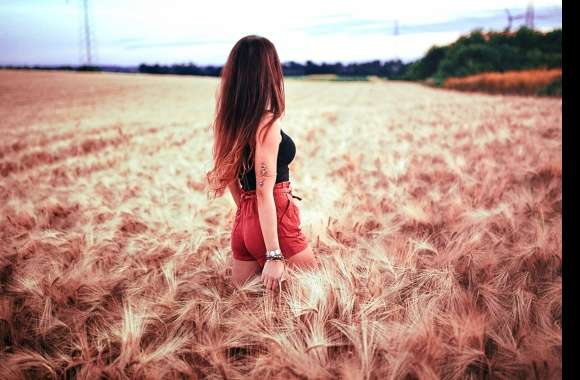 Woman in Wheat Field - wallpapers hd quality