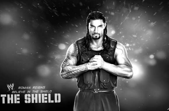 WWE Sports The Shield