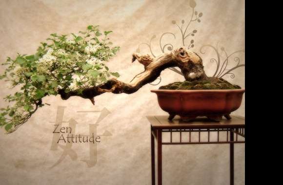 Zen Attitude Buddhist wallpapers hd quality