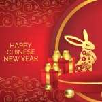 Holiday Chinese New Year wallpapers hd