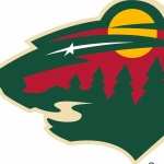 Minnesota Wild Sports widescreen