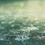 Serenity in Rain Photography free download