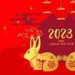 Holiday Chinese New Year hd