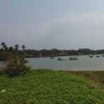 Trivandrum Backwaters images