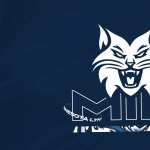 WNBA Minnesota Lynx Sports new wallpapers