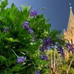 Religious Basilica Of St. Sernin, Toulouse full hd