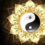 Religious Yin & Yang image